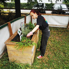 Gartenarbeit in der OJAD _2_.jpg