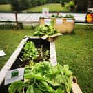 Gartenarbeit in der OJAD.jpg