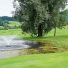 04_ Golf23.jpeg
