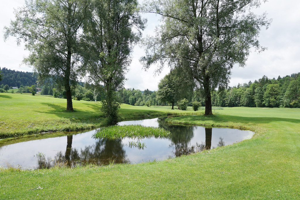 18_ Golf23.jpeg