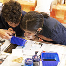_MG_4588.jpg
