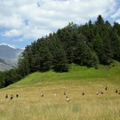AFP_33NH2V7_1.jpg