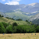 AFP_33NH2VT.jpg