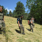 AFP_33NH3NQ.jpg