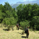 AFP_33NH3NV.jpg