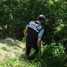 AFP_33NH3P8.jpg