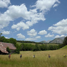 AFP_33NH3VH_1.jpg