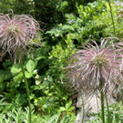 IMG_1757.jpg