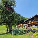 Birnbaum10.jpg
