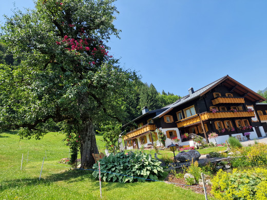 Birnbaum10.jpg