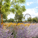 2023-07-18-praterstern-blumen.jpg