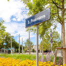 2023-07-18-praterstern-blumen-1.jpg