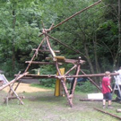 1167366.jpg