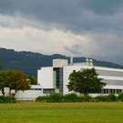 DSCI9482.JPG