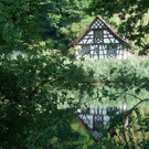 1 Kartause Ittingen _13_.JPG