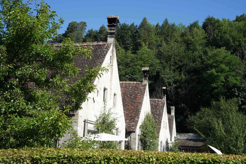 1 Kartause Ittingen _14_.JPG
