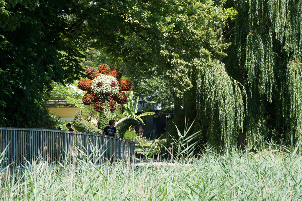 Insel Mainau _01_.JPG