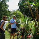Insel Mainau _04_.JPG