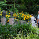 Insel Mainau _05_.JPG