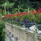 Insel Mainau _06_.JPG