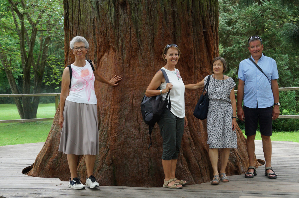 Insel Mainau _07_.JPG