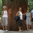 Insel Mainau _07_.JPG