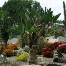 Insel Mainau _08_.JPG
