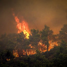Greece_Wildfires_04842.jpg