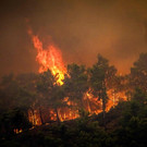 AFP_33PN3XW.jpg