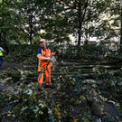 AFP_33PW8L2.jpg