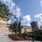 Italy_Weather_61578.jpg