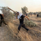 2023-07-24T185716Z_1368993113_RC2R92AKIRJO_RTRMADP_3_EUROPE-WEATHER-GREECE-WILDFIRE.JPG