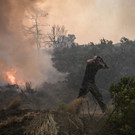 AFP_33PY9E2.jpg