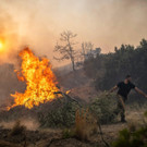 AFP_33PY834.jpg