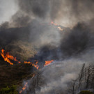 AFP_33PW8BL.jpg