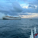 AFP_33PX273.jpg