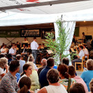 Milit__rmusik Vorarlberg SOMMERKONZERT B GASTDIRIGENT _3_.jpg