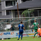 file7racv0roozo17xk31mx2.jpg