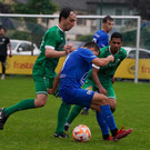 DSC05175a.jpg