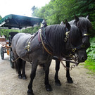 Kneipp-Ausflug Neumarkt am Wallersee 2_-5_7_2023  _214_.JPG