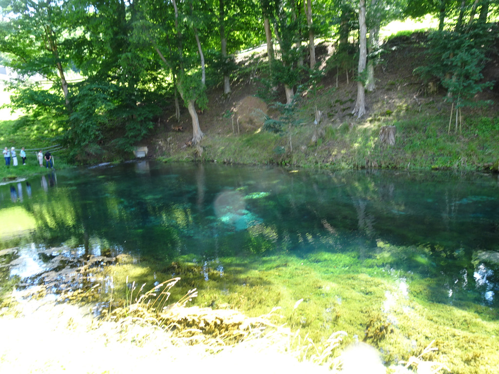 Kneipp-Ausflug Neumarkt am Wallersee 2_-5_7_2023  _363_.JPG