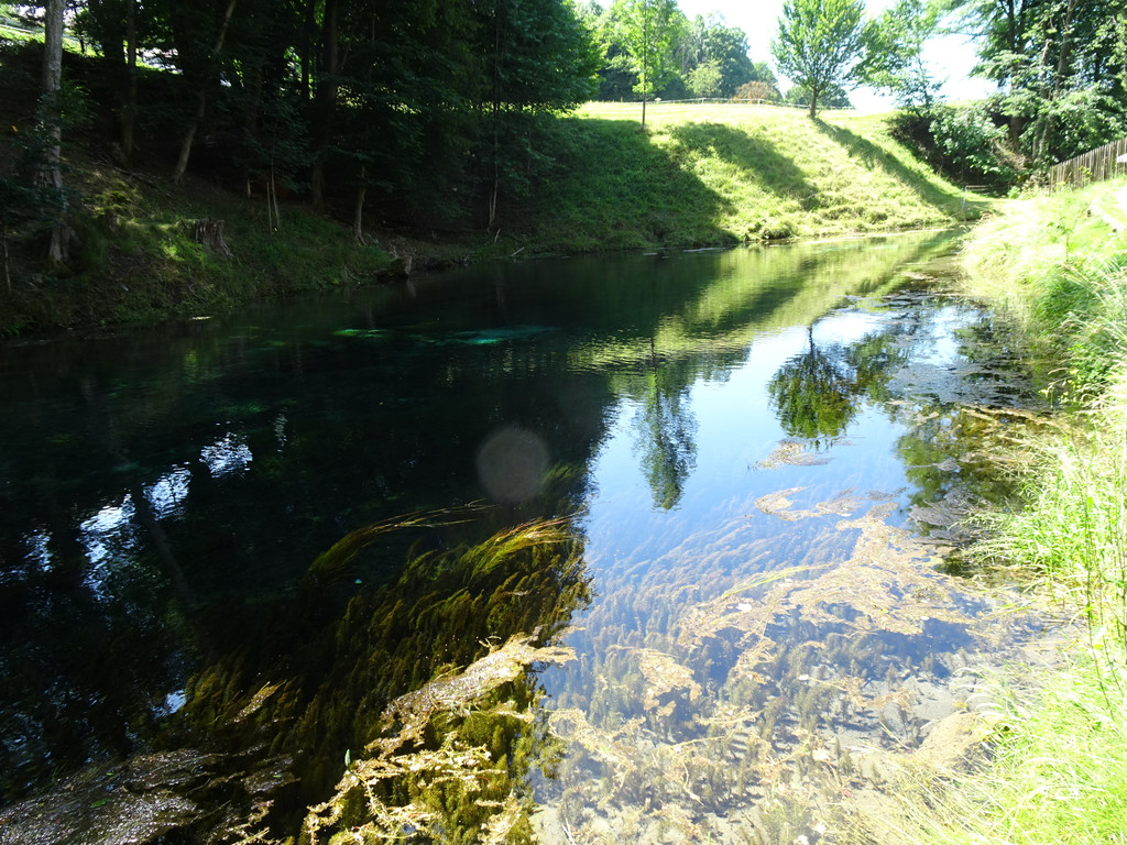Kneipp-Ausflug Neumarkt am Wallersee 2_-5_7_2023  _367_.JPG