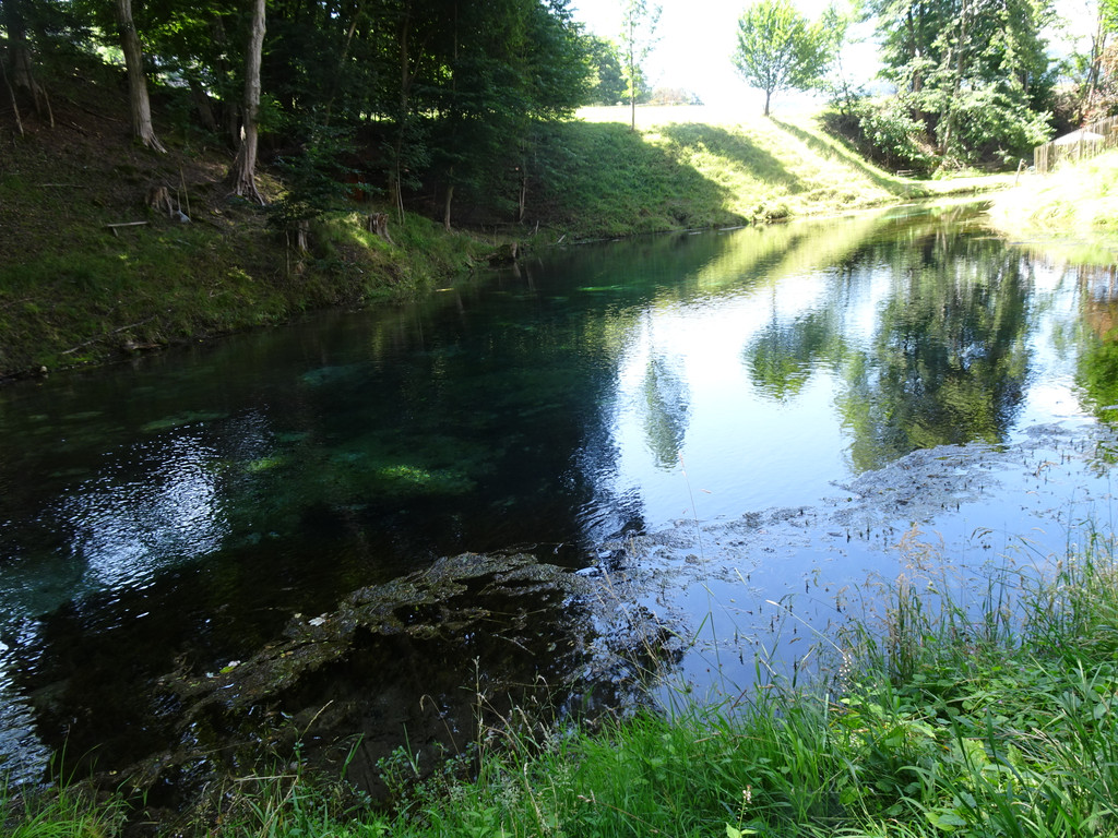 Kneipp-Ausflug Neumarkt am Wallersee 2_-5_7_2023  _370_.JPG