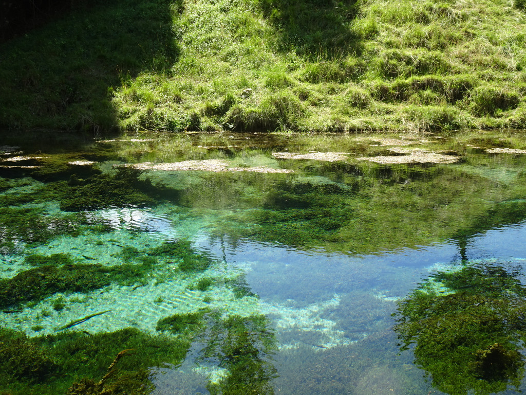 Kneipp-Ausflug Neumarkt am Wallersee 2_-5_7_2023  _390_.JPG