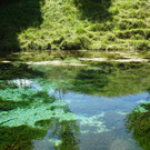 Kneipp-Ausflug Neumarkt am Wallersee 2_-5_7_2023  _390_.JPG