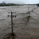 AFP_33Q86C3.jpg