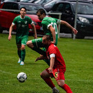 DSC06207a.jpg
