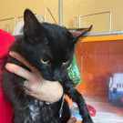 WhatsApp Image 2023-07-10 at 09_38_58 _1_.jpeg