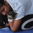 2023-08-08T052444Z_1665246688_RC29I2AANAPT_RTRMADP_3_INDIA-ODDLY-CATS.JPG