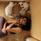 2023-08-08T052448Z_2062150568_RC2AI2AE2ZYG_RTRMADP_3_INDIA-ODDLY-CATS.JPG